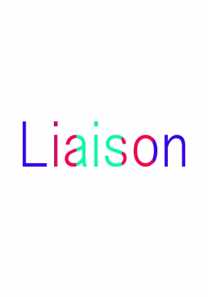 コラボ作品　「Liaison」