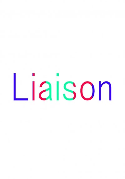 コラボ作品　「Liaison」