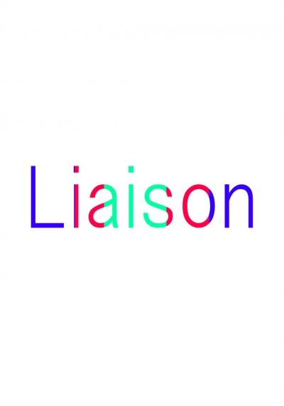 聯名創作作品「Liaison」